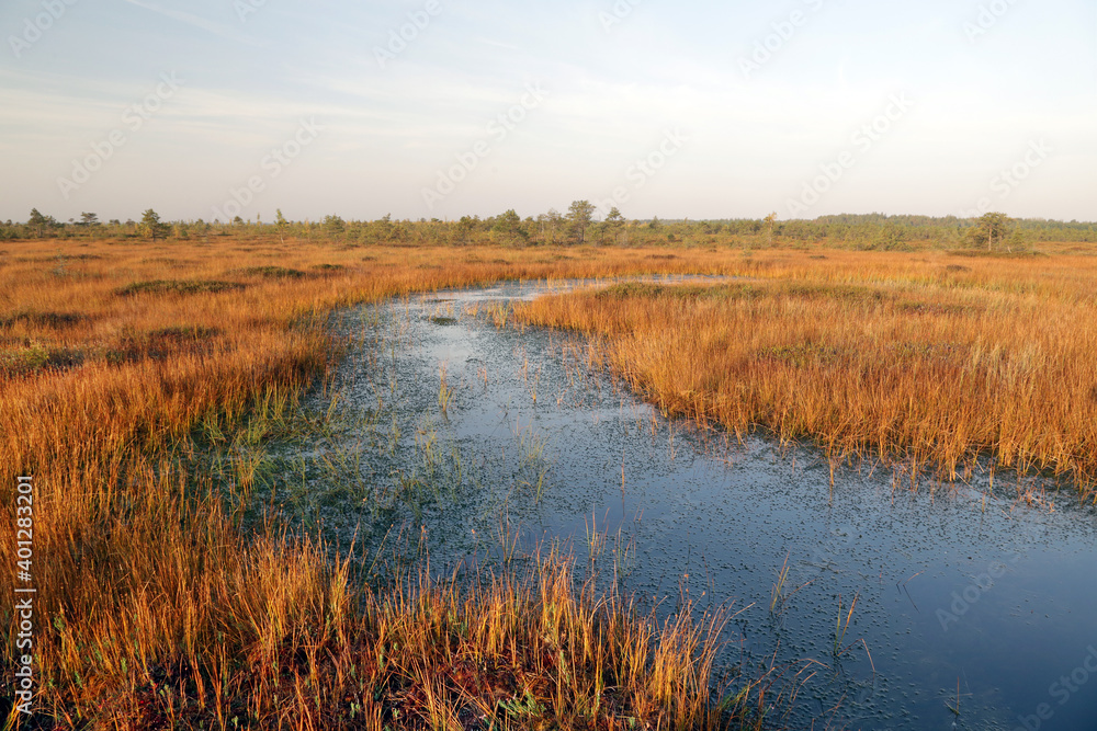 The Yelnya landscape reserve in the Vitebsk region of the Republic of Belarus is a fairly large-scale swamp, the territory of which occupies 200 square kilometers. The Yelnya landscape reserve in the Vitebsk region of the Republic of Belarus is a fairly large-scale swamp, the territory of which occupies 200 square kilometers.