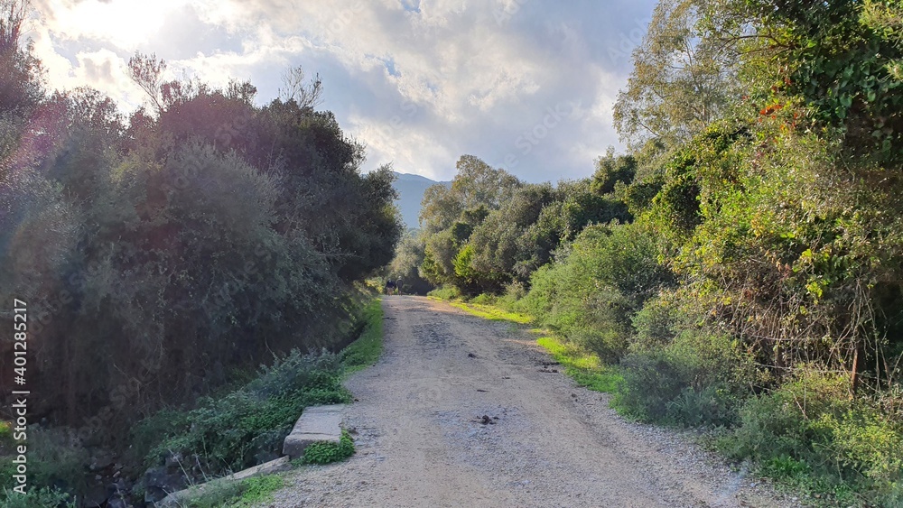 Fototapeta premium road in the mountains