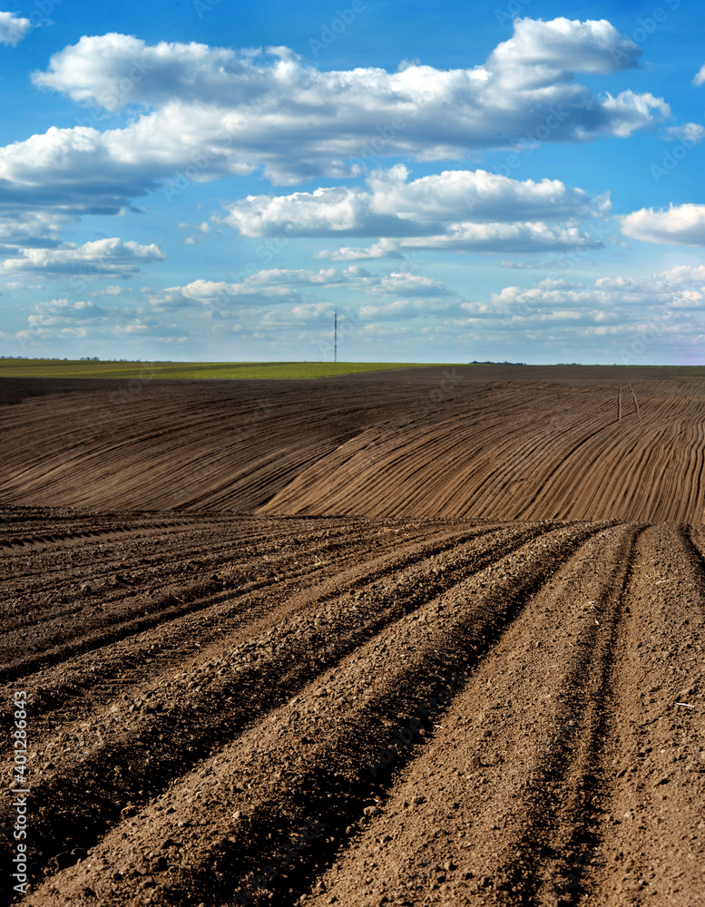 streams of plowed field prepared for sowing and line rows, beautiful blue sky with clouds streams of plowed field prepared for sowing and line rows, beautiful blue sky with clouds