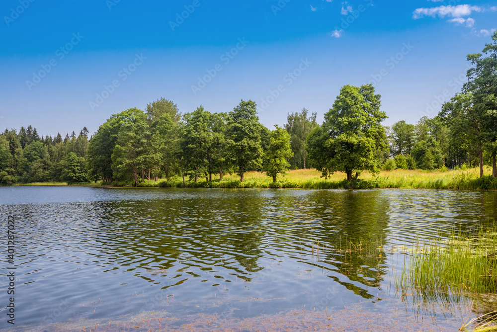 Fototapeta premium Summer landscape with lake, forest and blue sky clouds