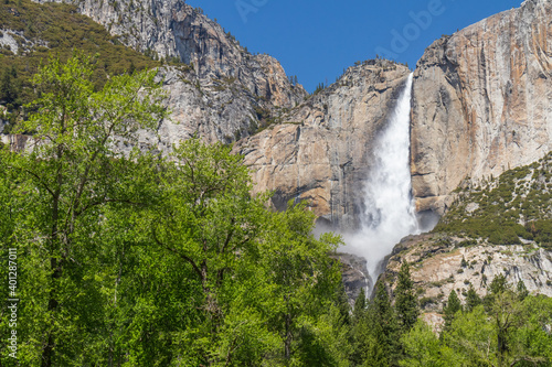 Yosemite Falls  Yosemite National Park  California 