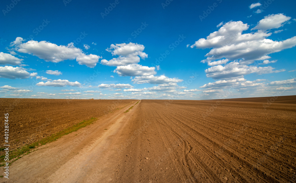 field and dirt road in spring, beautiful blue sky with clouds