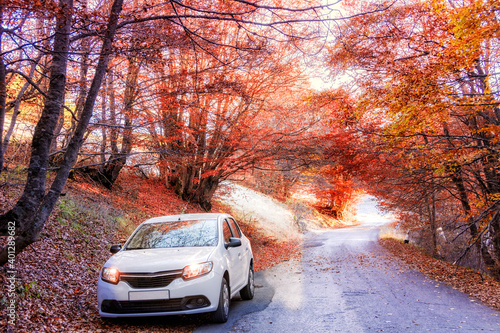 The car is parked in the autumn forest. October 31, 2015