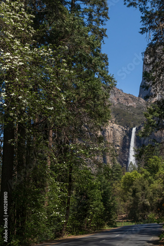 Waterfall, Yosemite National Park, California, USA 