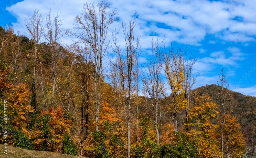 Fall color Skyline Drive Virginia