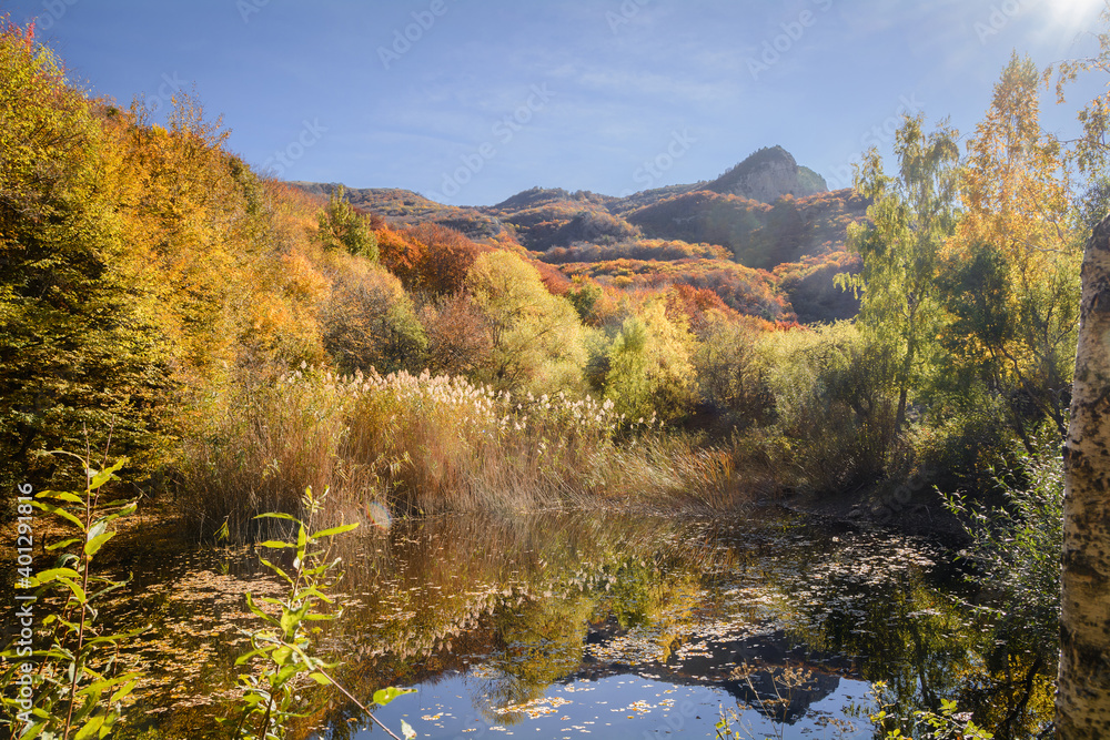 Autumn beech forest. Mountain range Demerdzhi, the Republic of Crimea. Autumn beech forest. Mountain range Demerdzhi, the Republic of Crimea.