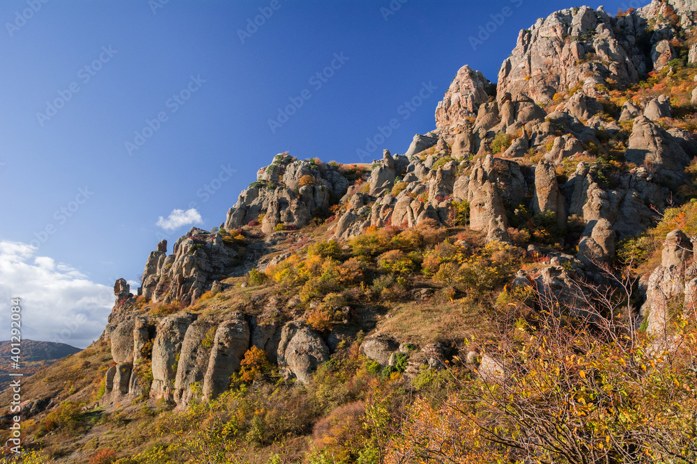 Autumn beech forest. Mountain range Demerdzhi, the Republic of Crimea.