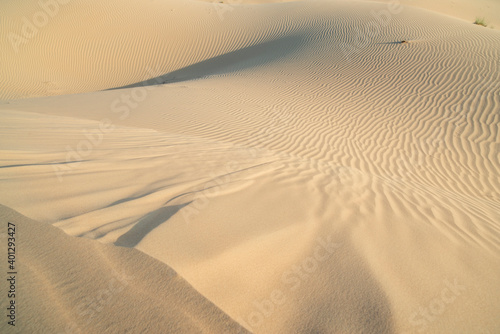 Fototapeta Naklejka Na Ścianę i Meble -  Arabian desert sand dunes. Abstract background.