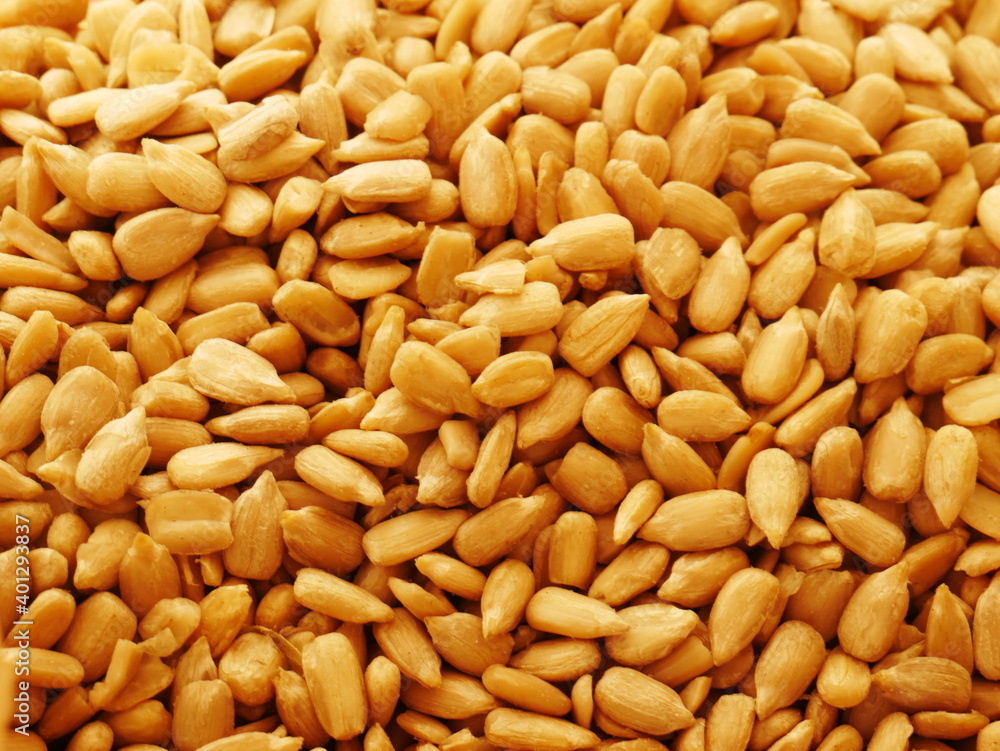 Close-up of freshly harvested sunflower seeds. Top view Close-up of freshly harvested sunflower seeds. Top view