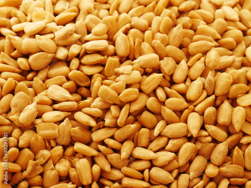 Close-up of freshly harvested sunflower seeds. Top view