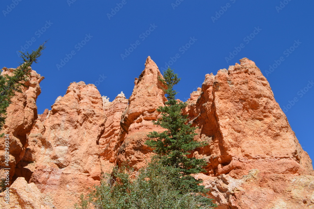 Fototapeta premium Bryce Canyon National Park, Utah