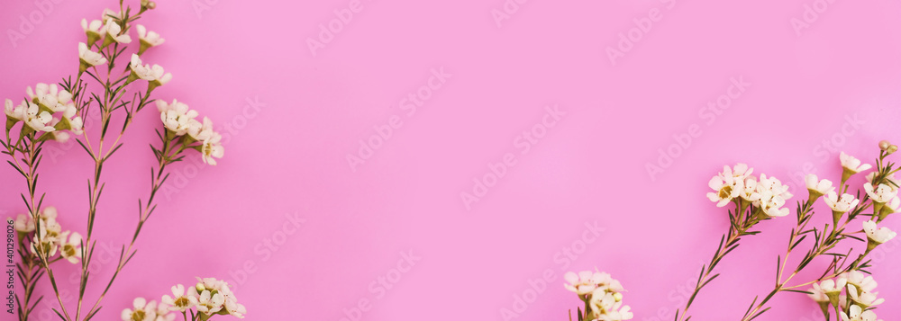 Fototapeta premium spring flowers on a pink background 