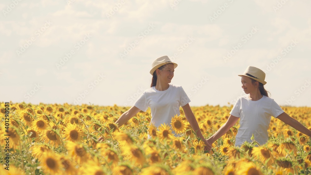 Teenage girls walk across the field with sunflowers and smile. Summer day walks in flower plantings. Childhood of farmers. Girlfriends together. Growing seeds for squeezing vegetable oil