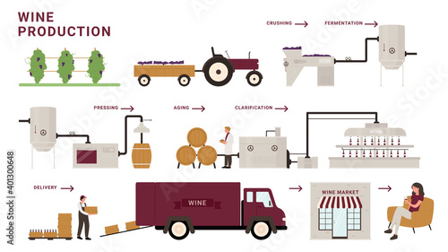 Wine production process stages infographic vector illustration. Cartoon modern winery factory line processing grapes, crushing, fermentation and aging, delivery to customer tasting alcohol beverage