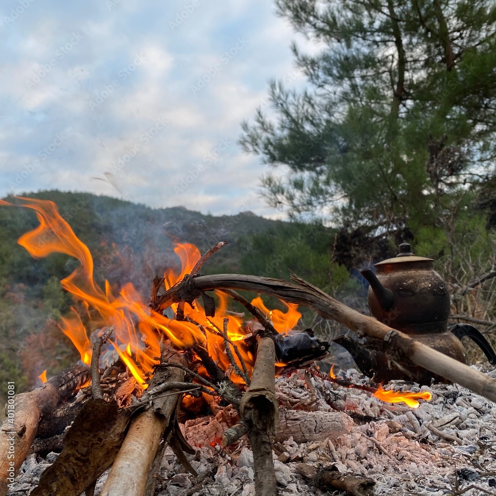 campfire in the forest campfire in the forest