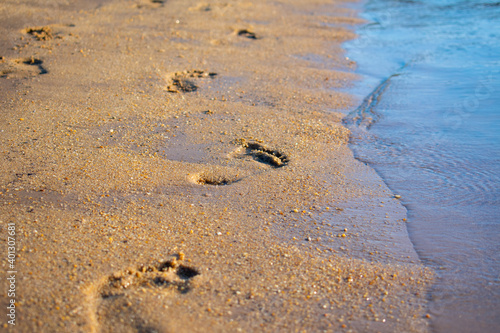 footprints on the beach