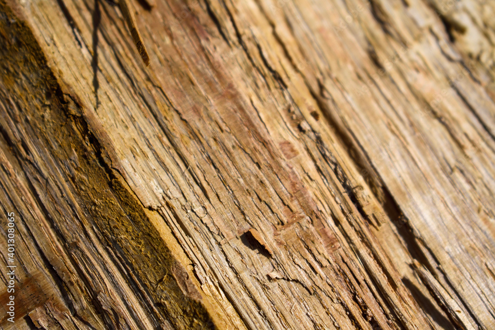 old wood texture old wood texture