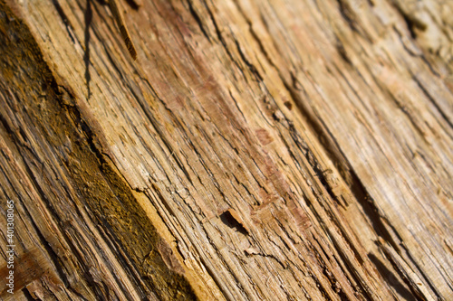 old wood texture
