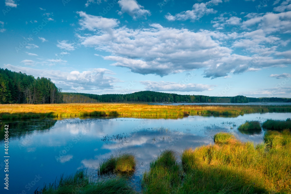 Summer landscape, forest trees are reflected in calm river water against a background of blue sky and white clouds. Summer landscape, forest trees are reflected in calm river water against a background of blue sky and white clouds.