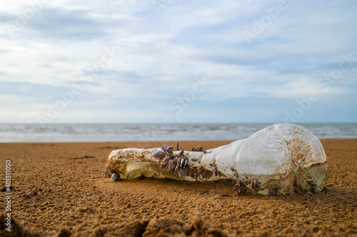 Plastic bottle with barnacles on the beach, plastic pollution