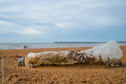 Plastic bottle with barnacles on the beach, plastic pollution