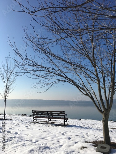 Winter snow at a riverfront park with bare trees.