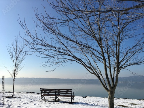 Winter snow at a riverfront park with bare trees.
