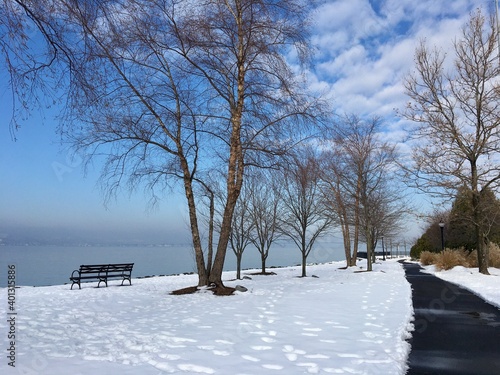 Winter scene, park, river, snow, blue sky, bare trees