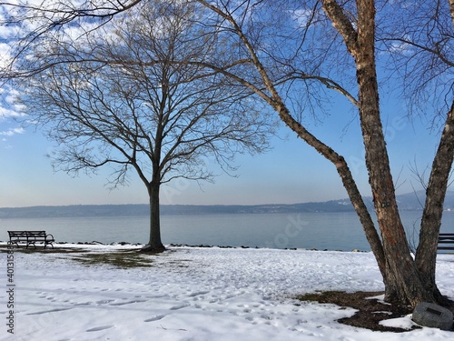 Winter scene, park, river, snow, blue sky, bare trees