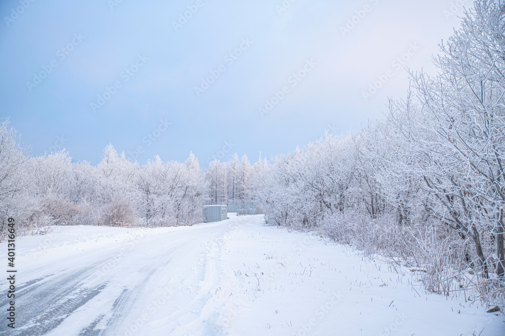 Obraz premium 아름다운 겨울 길