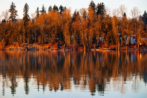 Obraz na płótnie Bare trees reflect in river during winter sunset w salonie