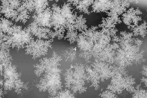 Fotografija An abstract photo of a pattern of frost on a piece of glass