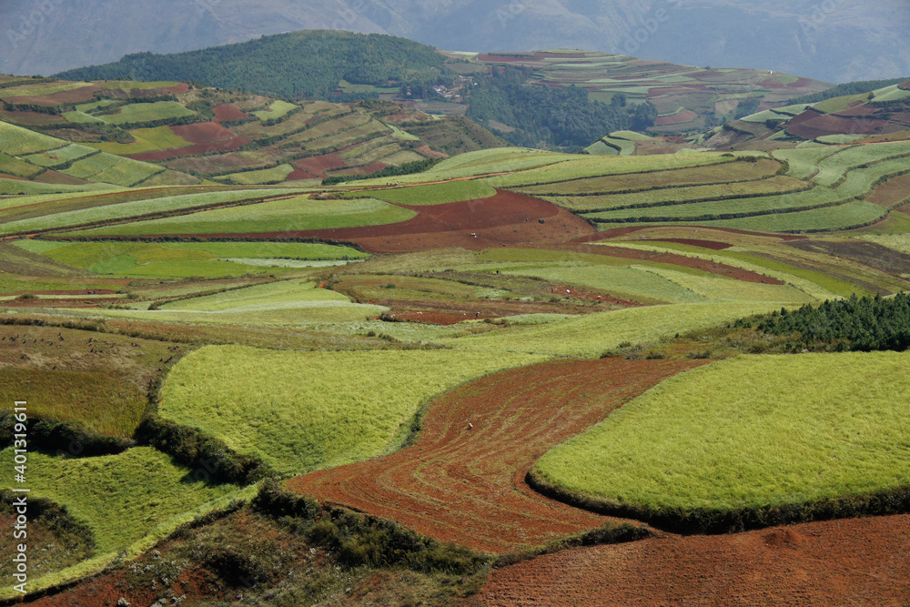 Crop patterns in Dongchuan Red Land, Jinxiuyuan, Yunnan, China