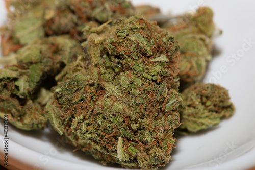 Medical marihuana super lemon haze close up cannabis modern high quality prints