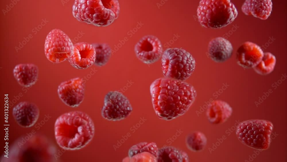 Raspberries are flying up and rotating in the air on a wine red background in slow motion Raspberries are flying up and rotating in the air on a wine red background in slow motion