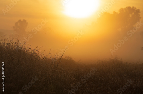 sunrise in the fog