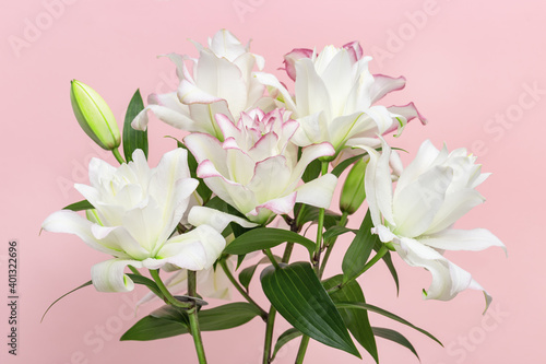 Bouquet of white lily flowers, close up peony lily on pink background.