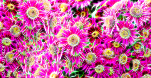 Abstract fractal background with pink chrysanthemums