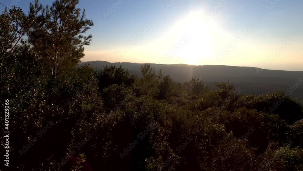 4k tilt up vertical Pano video. View of forest, sea, and city under a blue sky. A view of Mount Carmel, Little Switzerland, overlooking the city of Haifa from above. Israel. High Quality Footage 4k tilt up vertical Pano video. View of forest, sea, and city under a blue sky. A view of Mount Carmel, Little Switzerland, overlooking the city of Haifa from above. Israel. High Quality Footage
