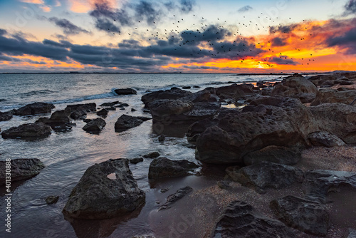 Colorful sunrise on the rocky coast © Vastram