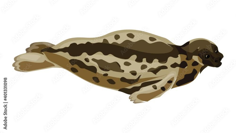 Seal icon animation best on white background for any design Seal icon animation best on white background for any design