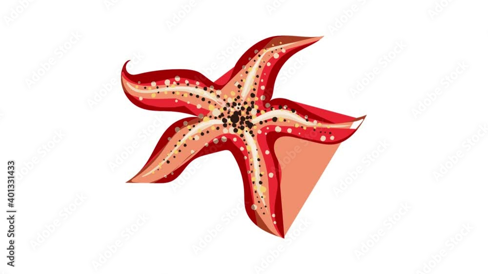 Sea star icon animation best on white background for any design Sea star icon animation best on white background for any design