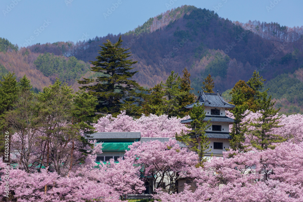 伊那市高遠城址公園のさくらstock Photo Adobe Stock 伊那市高遠城址公園のさくらstock Photo Adobe Stock
