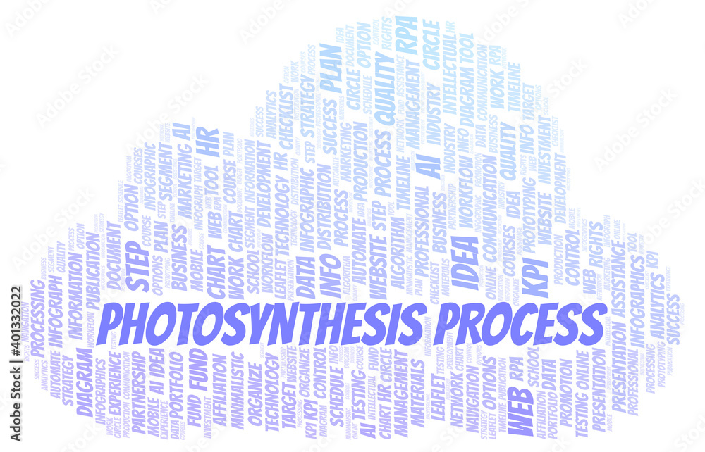 Obraz premium Photosynthesis Process typography word cloud create with the text only.