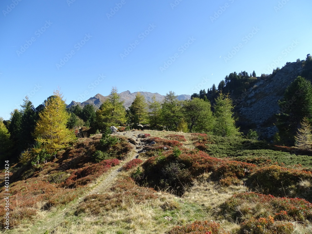 Zirbenweg am Patscherkofel oberhalb von Innsbruck Sistrans Lans Patsch gegenüber dem Karwendel Gebirge