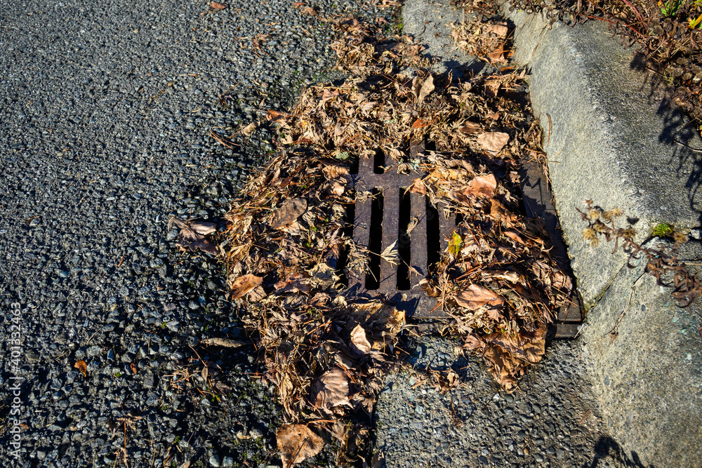 Storm drain surrounded by dead leaves, not ready for winter storms, residential street and curb
