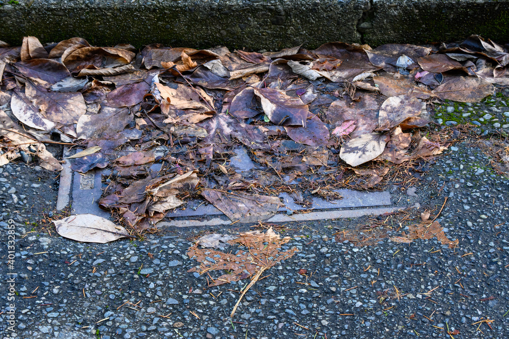 Obraz premium Storm drain covered in dead leaves, not ready for winter storms, residential street 