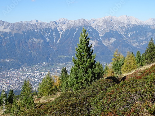 Zirbenweg am Patscherkofel oberhalb von Innsbruck Sistrans Lans Patsch gegenüber dem Karwendel Gebirge photo