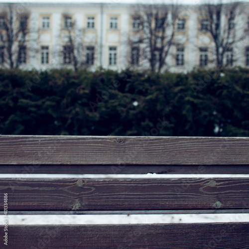 bench in the park