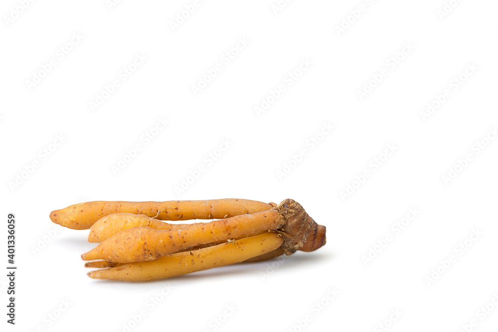 Krachai with whole rhizome or finger root isolated on white background - Clipping path Krachai with whole rhizome or finger root isolated on white background - Clipping path